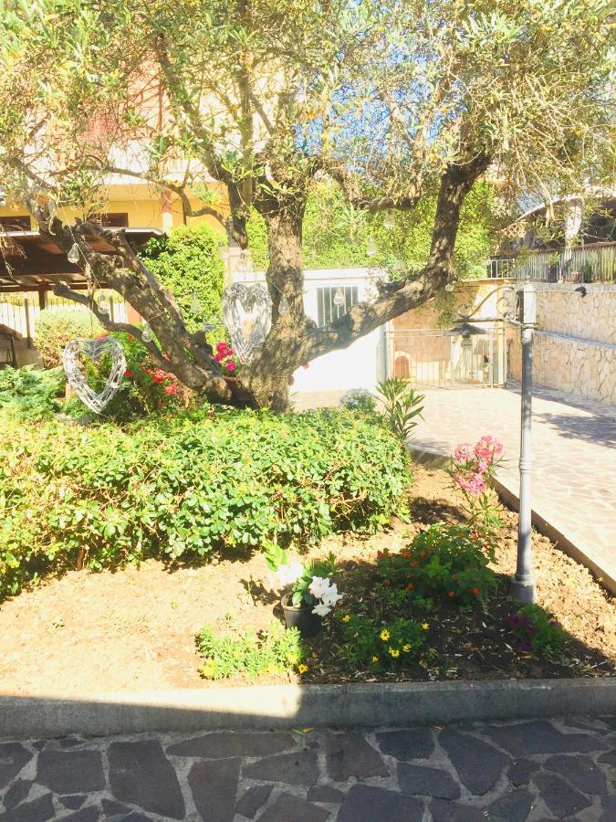 B&B Il Piu Bello Сан-Сальво Экстерьер фото